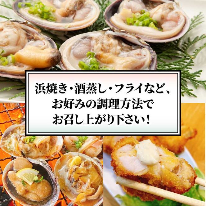 南知多名産！ 大あさり カット済み 大玉 片貝8個 (400g×2p) 800g 冷凍 プロトン凍結 魚貝 鮮魚 魚太郎 特産品 バーベキュー BBQ 浜焼き 酒蒸し 大あさり 大浅蜊 あさり アサリ 浅蜊 蛤仔 貝 かいし 大あさり 大浅蜊 あさり アサリ 浅蜊 蛤仔 貝 かいし 大あさり 大浅蜊 あさり アサリ 浅蜊 蛤仔 貝 かいし 大あさり 大浅蜊 あさり アサリ 浅蜊 蛤仔 貝 かい愛知県 南知多町