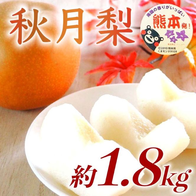 秋月梨 約1.8kg（5～8玉）【梨 なし 果物 フルーツ デザート 食後 熊本県産】※配送不可：離島