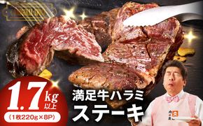 099H4192 【満足牛ハラミステーキ】オリジナルスパイス仕込み 1枚220g×8P 合計1.76kg 【味付け ハラミ ステーキ 小分け 焼くだけ 簡単調理 BBQ 牛肉 普段使い】