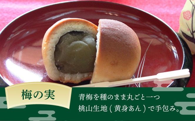 【老舗の菓子屋】築上銘菓「 梅の実 」6 個《築上町》【有限会社 御菓子司 鹿の子】[ABAC015]