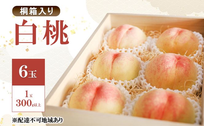 もも 2026年 先行予約 白桃 6玉 1玉300g以上 桐箱入り 備州の国 絆 慶祥苑 贈り物 贈答 のし対応 岡山県 赤磐市