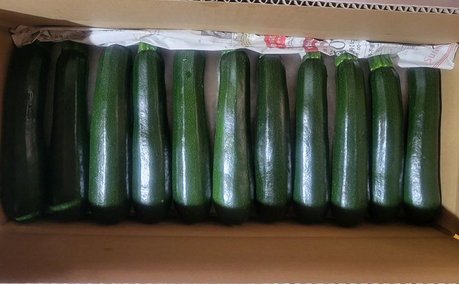 信州高原塩熟野菜 約10kg お任せ 野菜セット 野菜詰め合わせ レタス キャベツ ズッキーニ カリーノケール サニー おたのしみ