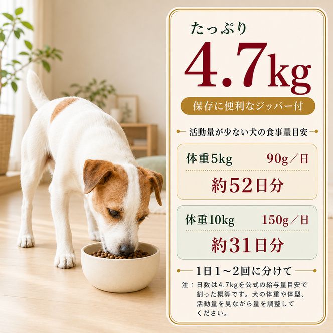 ビューティープロ ドッグ 10歳以上 4.7kg ｘ1(ケース単位) ドッグフード