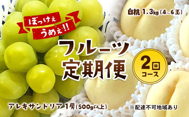 【2026年 先行予約】 ぶどう 桃 ぼっけぇうめぇ フルーツ 定期便 2回 コース ( マスカットオブアレキサンドリア ・ 白桃 )《2026年7月-9月出荷》 岡山県産 フルーツ 果物 数量限定 里庄町