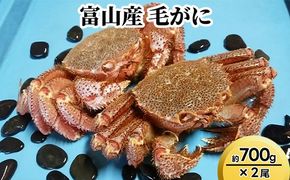 富山産　毛がに約700g ×2尾 ※2026年11月～発送