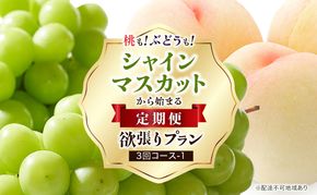 【 2026年 先行予約 】ぶどう 桃 シャインマスカット から始まる 定期便 ～ 桃もぶどうも！ 欲張り プラン 3回 コース -2  ( シャインマスカット ・ 白桃 ・シャインマスカット )《2026年7月-9月出荷》 岡山県産 