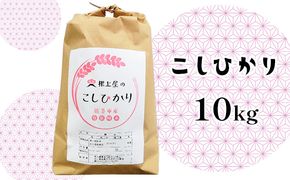 根上屋のこしひかり 10kg お米 コシヒカリ 米 