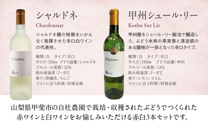 敷島醸造　敷島ワイナリー特選3本セット　F-20