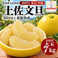 土佐文旦 大玉 7kg 家庭用 日本ギフト大賞受賞 文旦発祥の地 園主こだわり 3L～2L 高知県土佐市産 高知県産 国産 7キロ ぶんたん ブンタン 蜜柑 みかん 柑橘類 高級フルーツ 果物 産地直送 お取り寄せ ギフト 数量限定 期間限定 季節限定 先行予約 やの一果彩[BQAC007]
