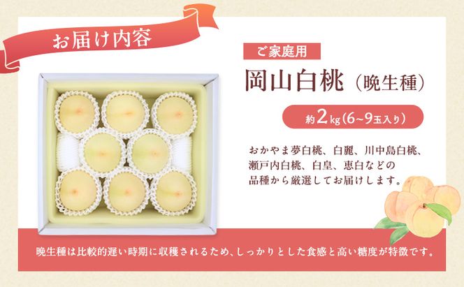 桃 2026年 先行予約 岡山 白桃（晩生種）ご家庭用 約2kg 6～9玉入り もも モモ 岡山県産 国産 フルーツ 果物 直送！せとうちバスケット 