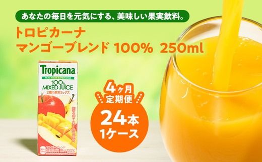 y錧푍szy4zgsJ[i 100 }S[uh 250ml LLX×24{ ւ̔zs