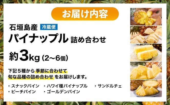 【2026年4月下旬から順次発送】石垣島産パイナップル 2～6個 約3kg【ふるさと納税 パイナップル 産地直送 フルーツ 果物 沖縄県石垣市 石垣 沖縄 石垣市 石垣島】 KP-14
