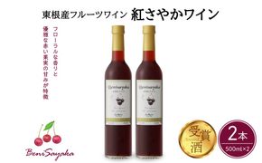 紅さやかワイン500ml×2本セット 山形県 東根市 合同会社 Fruit Winery Esprit提供 hi108-004