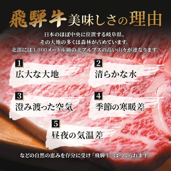ふるさと納税　飛騨牛 牛肉 ステーキ ヒレ 150g×6枚 計900g A5 和牛 