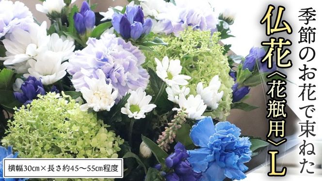 y錧}szG߂  ő˂  y ԕr p zL    [CT151ci]
