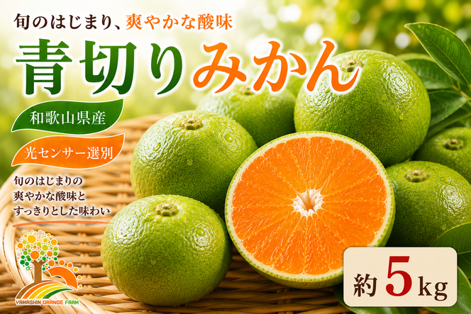 【先行予約】こだわりの青切りみかん 約5kg 農家直送 有機質肥料 100% サイズ混合 ｜ みかん 柑橘 果物 くだもの 果実 フルーツ 和歌山 有田