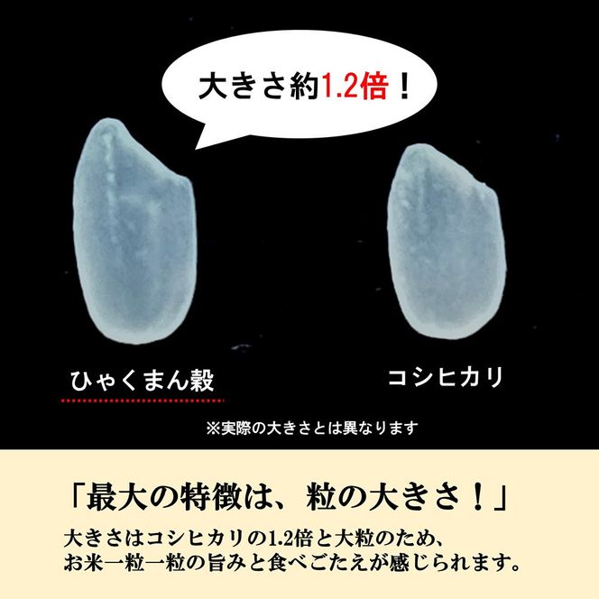 【令和8年産】【日本農業賞大賞】ひゃくまん穀2.7kg精白米 能美市 お米 精米銘柄米 精米したて 一等米 172111_AE002