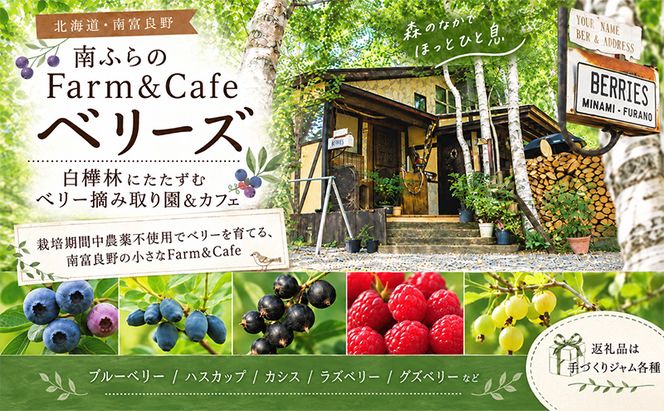 手作りジャム セット 【グズベリー】 2個 北海道 南富良野町 ジャム ベリー ソース 果実