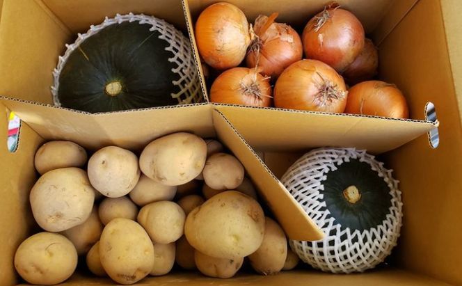 【2026年発送先行予約】十勝幕別町産 かぼちゃ2個・玉ねぎ4kg・じゃがいも2kg 計約10kg［山田敏明牧場］ 野菜 たまねぎ セット 詰合せ 旬の野菜 産地直送 北海道産 