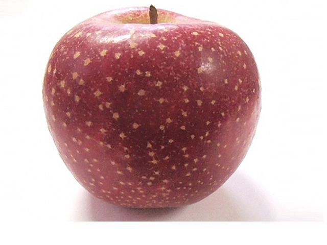 風丸農場 千雪りんごのジュース 無添加 青森県産 180ml×8本セット 飲料類 果汁飲料 りんごジュース 