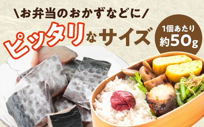 G3731 【定期便】さわら 切身 約50g×20切れ 全2回【2026年2月＆2026年5月発送 小分け 漁師 手切り 1kg 泉州 鰆 切り身 弁当 朝食 時短 訳あり サイズ不揃い 規格外 冷凍食品】