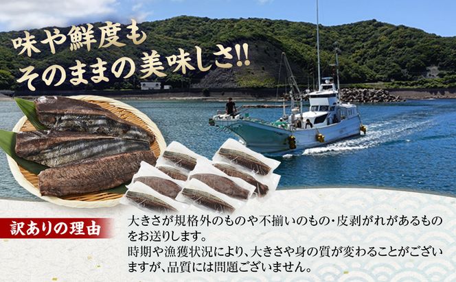 かつお一本釣り漁師が直送！ 日帰りかつおの藁焼きたたき 訳あり 2.2kg入 304018_DT05