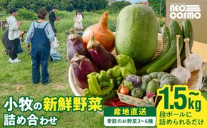 ★障がい者支援施設応援品★ ネオコスモ農園で採れた小牧の野菜詰め合わせ［124N02］
