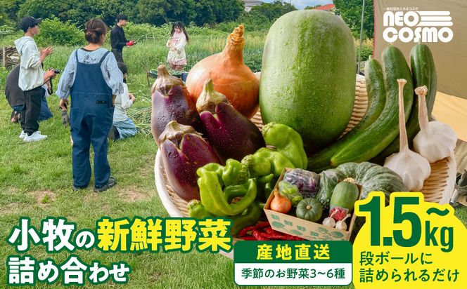 ★障がい者支援施設応援品★ ネオコスモ農園で採れた小牧の野菜詰め合わせ［124N02］