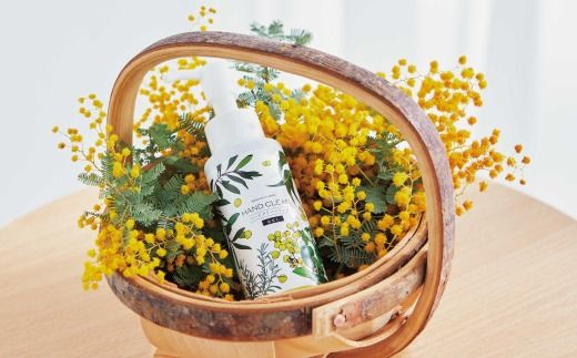 【 ミアミモザ 】ミアミモザ ハンドクリーンジェル 100ml 1本 天然香料 が ほのかに香る ギフト プレゼント 贈答 贈り物 美容 コスメ スキンケア ジェル 洗浄 清潔 エタノール ヒアルロン酸 保湿 天然アロマ 高知県 高知 四万十市 四万十 しまんと 25-67