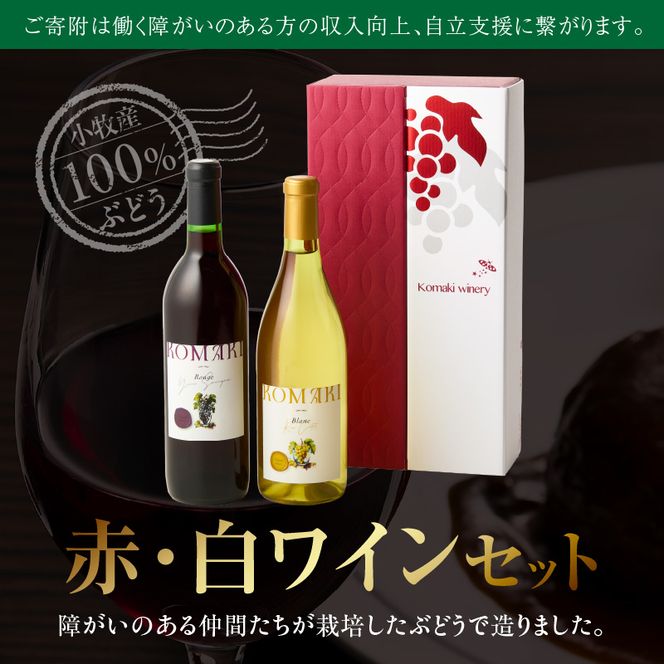 小牧ワイナリー 赤・白ワイン２本セット（小牧産ぶどう100％使用）［026A10］