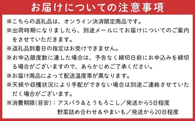のぐち北湯沢ファームの年5回 定期便 グリーンアスパラ とうもろこし2種 野菜詰め合わせ やまいも ギフトセット 55251181