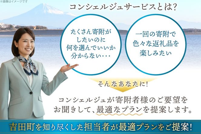 【あなただけの返礼品をお届け!】 コンシェルジュ サービス 寄附金額 30万円 オーダーメイド プラン [結デザイン有限会社 静岡県 吉田町 22424694]