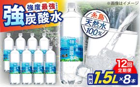 【全12回定期便】強炭酸水 1.5L×8本 糸島市 / スターナイン 炭酸水 大容量 [ARM008] 炭酸水 1.5 8本国産 炭酸 1500 ペットボトル まとめ買い 常温