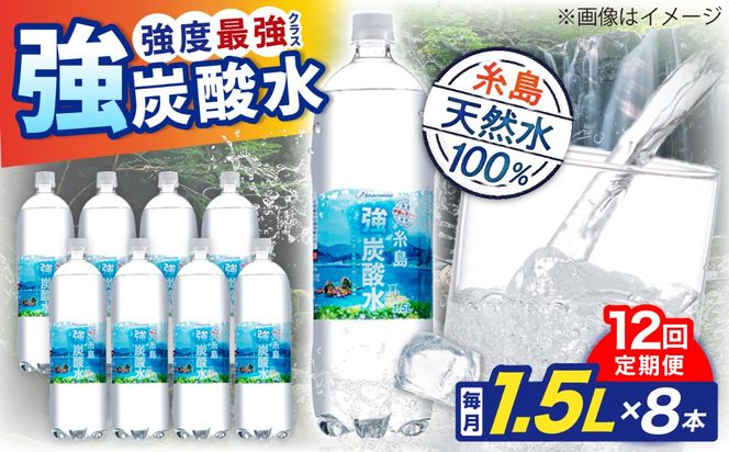 【全12回定期便】強炭酸水 1.5L×8本 糸島市 / スターナイン 炭酸水 大容量 [ARM008] 炭酸水 1.5 8本国産 炭酸 1500 ペットボトル まとめ買い 常温