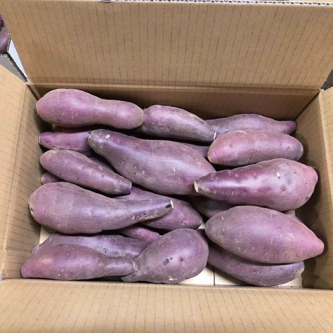 【2026年1月上旬より順次発送】★訳あり★無選別「はるかにおいしいさつまいも」EMそだち紅はるか 約5kg｜さつまいも 芋 サツマイモ 紅はるか 訳あり わけあり ワケアリ 先行予約 EM 栄養 焼き芋 蒸かし芋 天ぷら 大学芋 茨城県 行方市(HH-1)