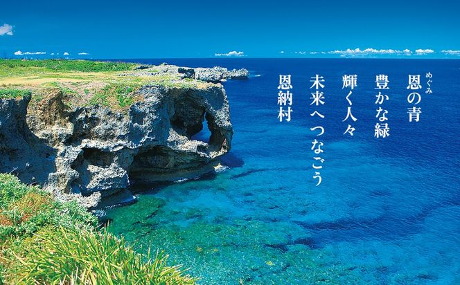 【海レジンアートうみねこ】恩納Blue アートパネル〜夏色〜 A3サイズ