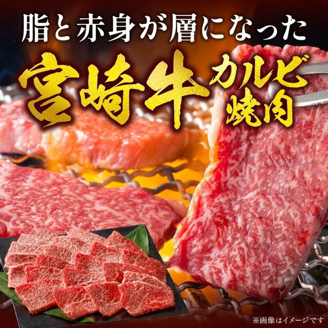 宮崎牛 カルビ焼肉500g N0140-YA5518
