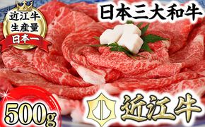 【4等級以上】厳選　近江牛　すき焼き・しゃぶしゃぶ【500g（リブロース250g、モモまたはウデ250g）】【BS01W】