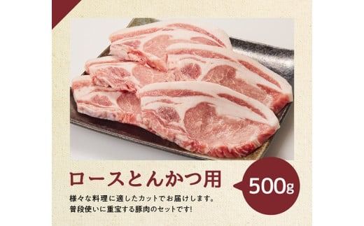 【12ヶ月定期便】宮崎県産豚肉バラエティ4種セット2.5kg【 肉 豚 豚肉 ロース バラ 切り落とし 】[D07502t12]