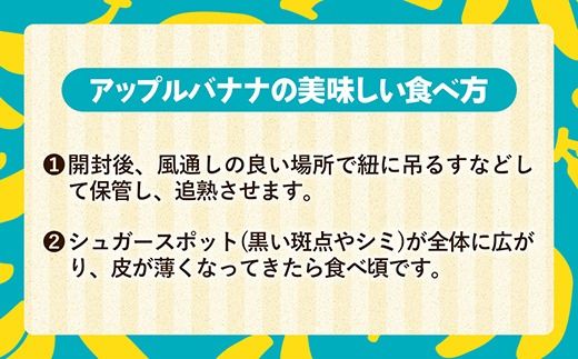 熱帯果樹生産組合のアップルバナナ 約3kg - バナナ ばなな 小ぶり 沖縄県 産地直送 果物 フルーツ 南国 朝食 おすすめ 沖縄県 八重瀬町
