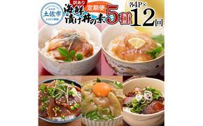 【12回定期便】訳あり土佐の海鮮漬け丼（5種×各4袋）セット 漬け丼の素 タイ 鯛 ブリ 鰤 マグロ 鮪 イカ カツオ 鰹 たたき 新鮮 魚 おかず おつまみ 惣菜 小分け【企業組合　宇佐もん工房】 [BQAB019]