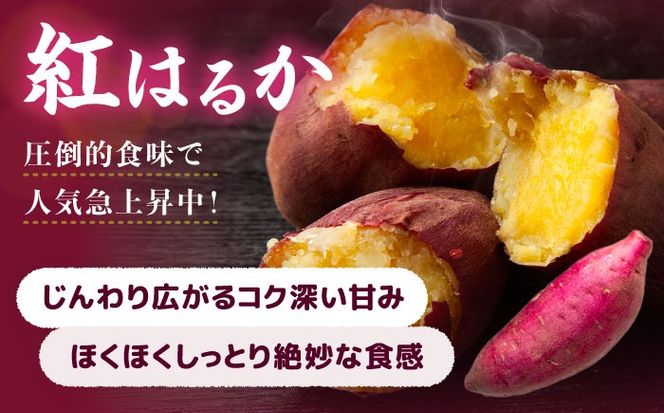 選べる品種/ 焼き芋 紅はるか 4kg (8〜16本) さつまいも 焼きいも おやつ 愛西市 / 就労継続B型事業所ヤシの木[AEDG008]