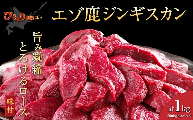 ykC撬zywV[/炩z撬YG]VJWMXJ [Xt500g×2pbN v1kg  BRTS002