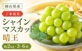 ぶどう 2026年 先行予約 ご家庭用 シャイン マスカット 晴王 3～6房 約2kg ブドウ 葡萄 岡山県産 国産 フルーツ 果物