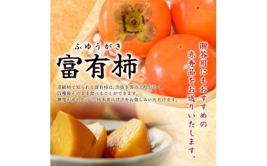 【2026年発送】富有柿 赤秀品 大玉 6個～8個入 こだわり農家厳選【2026年10月末から11月末頃に順次発送予定】 / 柿 フルーツ 果物 かき 和歌山 かつらぎ 農家直送 贈答 【kgr043】 