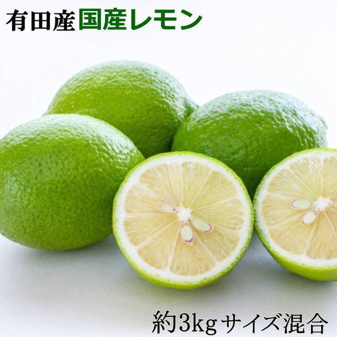 【先行予約】国産レモン 有田産 和歌山県 約3kg（サイズ混合）