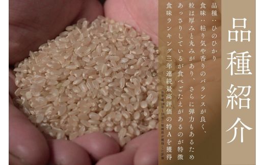 令和8年産 新米予約受付！自然栽培米ひのひかり5kg〈栽培期間中農薬・肥料不使用〉【ほのわ】_HA1609