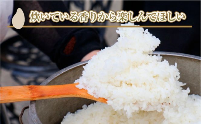 【令和8年産 先行予約】【定期便／全4回】無洗米10kg 新潟県魚沼産コシヒカリ「山清水米」