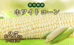 ホワイトコーン 約2.5kg 野菜 とうもろこし 野菜セット 