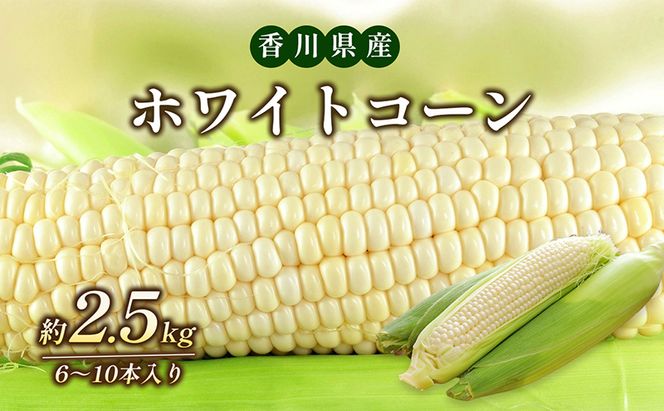 ホワイトコーン 約2.5kg 野菜 とうもろこし 野菜セット 